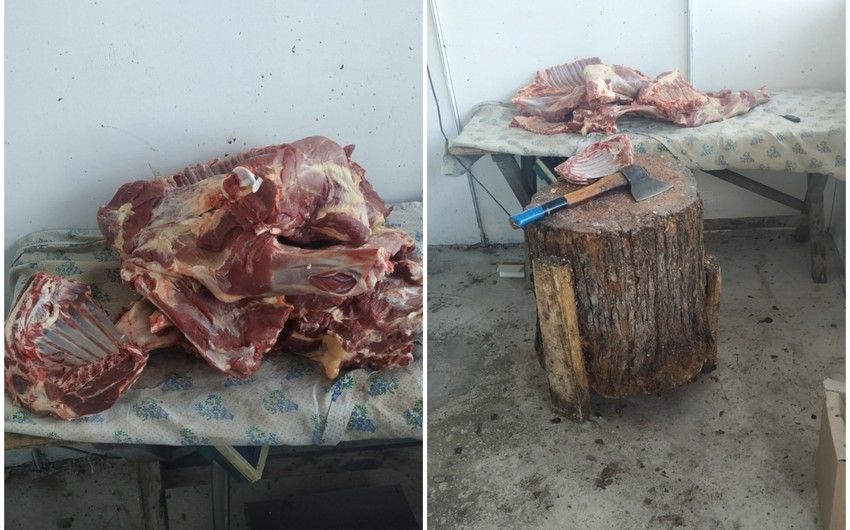 Tovuzda heyvan kəsim məntəqəsində at əti satışının qarşısı alındı