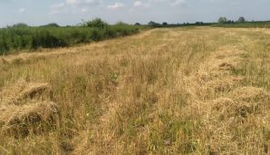 Könül Nurullayeva sakinlərlə görüşdü -     Onların üzləşdiyi problemləri qeydiyyata götürdü - FOTOLAR — foto 14