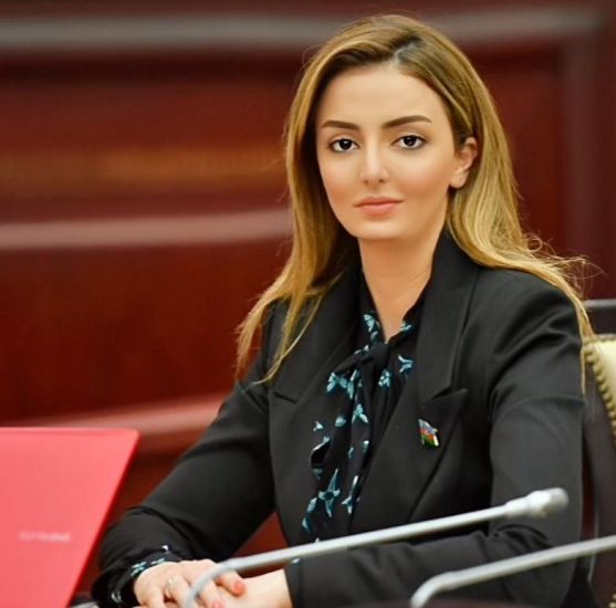 "Azərbaycanın öz gücü və siyasi iradəsi ilə 30 illik münaqişəni 44 gündə həll etməsi bəzi dairələri qıcıqlandırır" -     Könül Nurullayeva