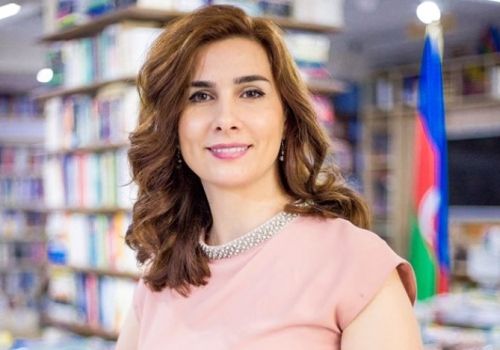 Pediatr: "Az dilənçilik edin, Səhiyyə Nazirliyi, kim baxır sizdə bu işə?"