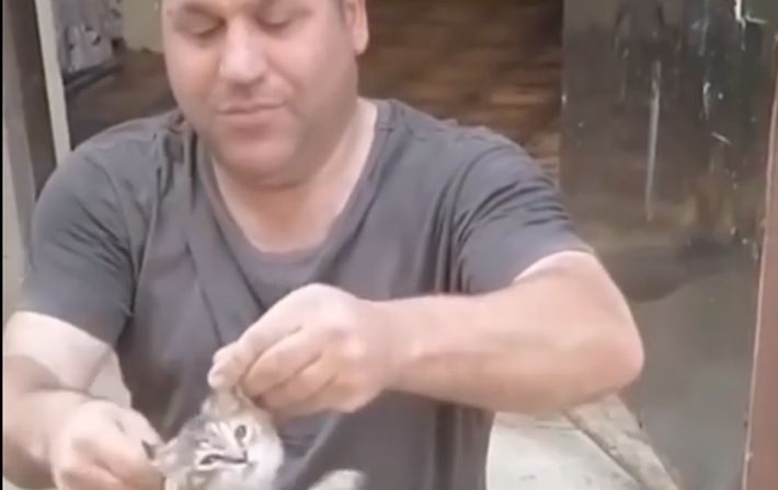 DİN pişiyə işgəncə verən şəxslə bağlı araşdırmaya başladı