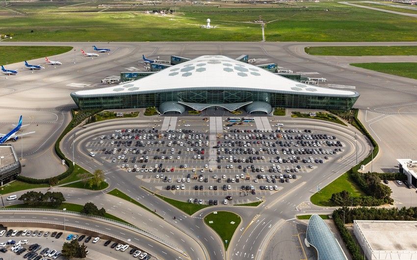 Bakı aeroportunda heyvanlara qəddar davranışla bağlı araşdırma başlanıldı