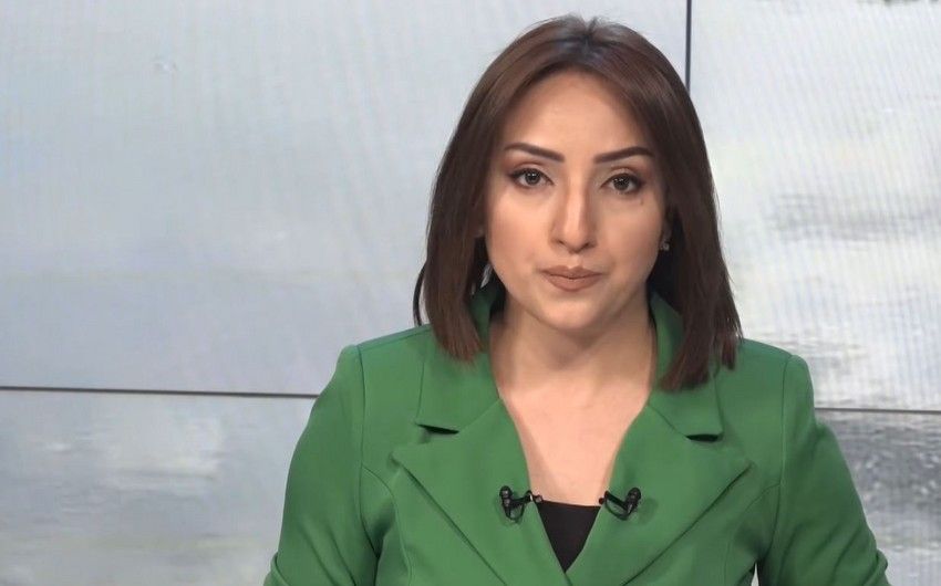 Leyli Namiqqızına vəzifə verildi