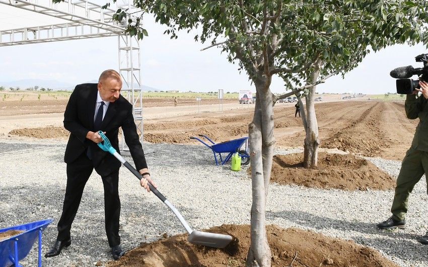 Prezident Ağdam şəhər meşə-parkında ağac əkdi  -       YENİLƏNDİ