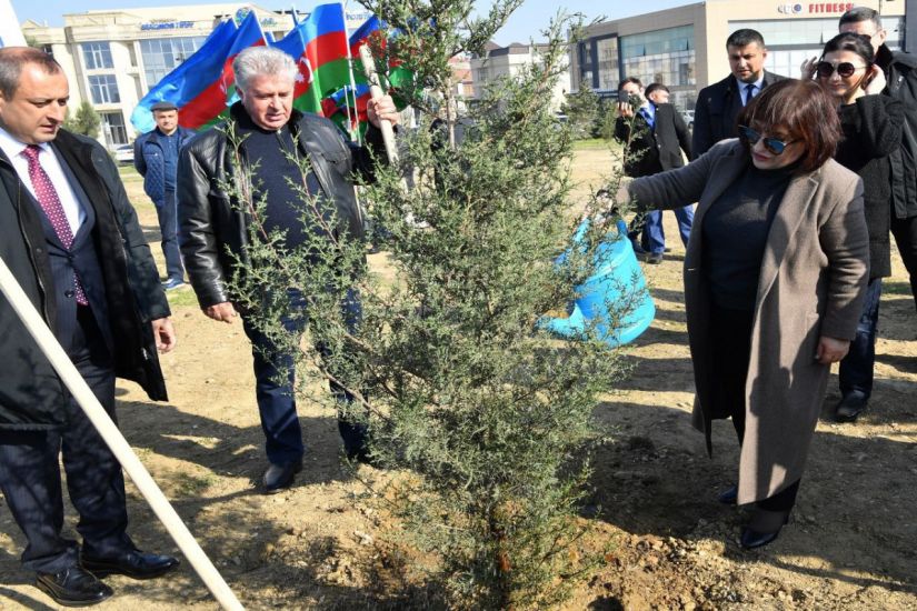 Milli Məclisin təşkilatçılığı ilə Zəfər Günü münasibətilə Bakıda ağacəkmə aksiyası keçirildi