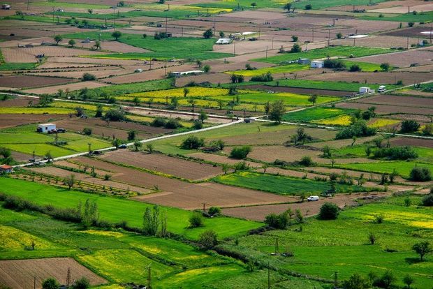 Bakıda torpaq sahəsi əldə etmək istəyənlərin nəzərinə