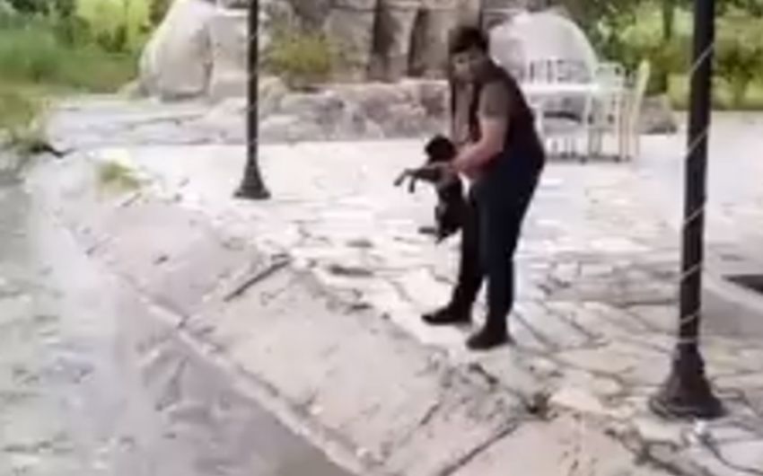 İti su kanalına atan şəxslə bağlı qərar verildi