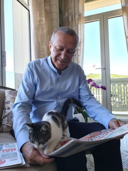 Ərdoğan pişiklə fotosunu paylaşdı