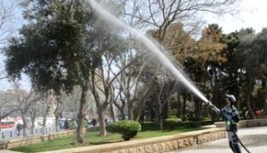 Bakının 545 küçəsi yuyuldu — foto 1