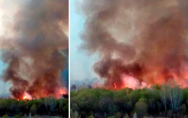 Ermənilər Araz sahilində donuz qaçırmaq istəyərkən meşəni yandırdılar -        FOTOLAR