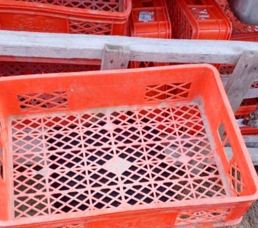 Bakıda qandonduran hadisə:   marketdən yeşik oğurladı, tutulmasın deyə özünü öldürdü