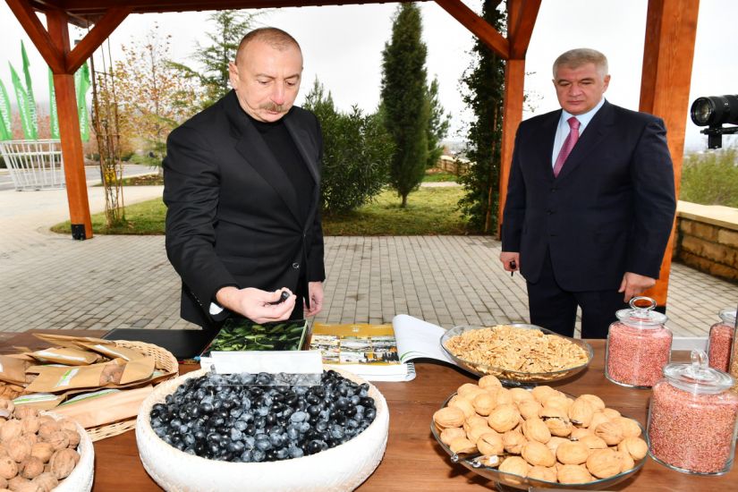 İlham Əliyev “Şəki-Oğuz” Aqroparkında yaradılan şəraitlə tanış oldu -      YENİLƏNDİ