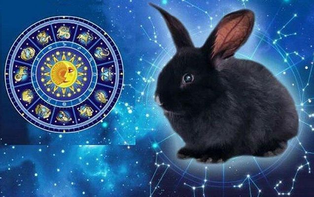 Dovşan ilinin xüsusiyyətləri hansılardır?