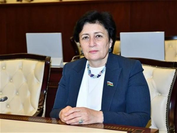 Deputat dərman qıtlığına görə Səhiyyə Nazirliyini qınadı:       “Dövlətin səhiyyə siyasətinin həyata keçirilməsinə birbaşa cavabdehdir”