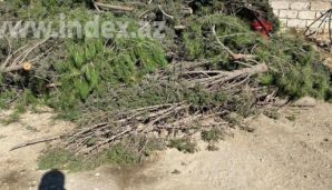 Eks-deputat Nəriman Əliyevin cəzadan yayınma planları  -   FOTOLAR — foto 4