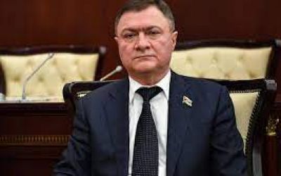 Deputat Azər Kərimli Qaxda ağacların soyqırımını davam etdirir -       FOTOLAR