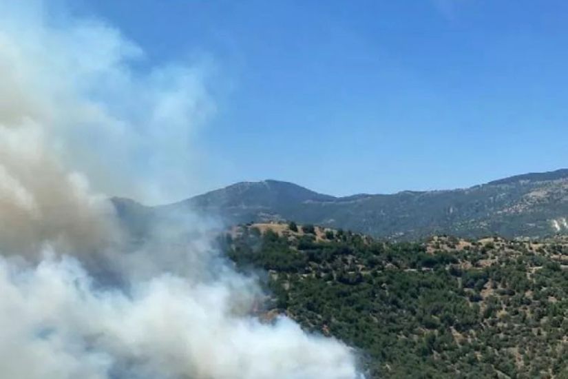 İzmirdə meşə yanğınları nəzarət altına alındı