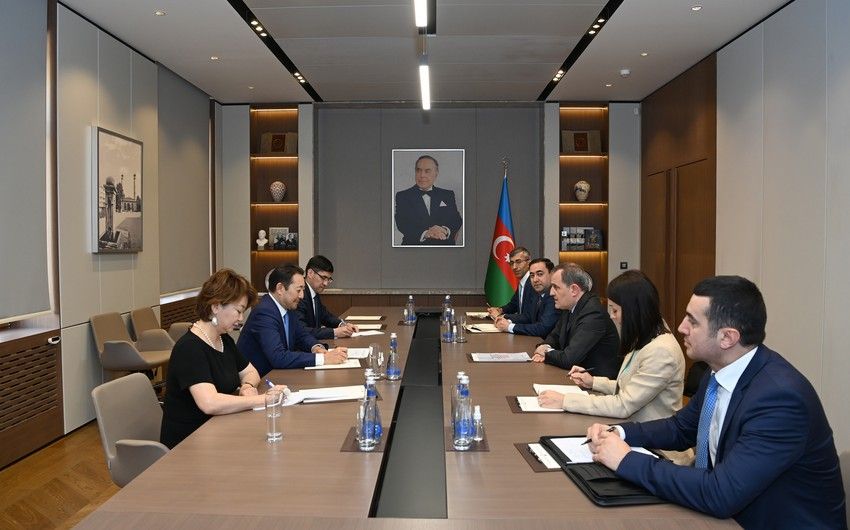 Ceyhun Bayramov AQEM-in icraçı direktoru ilə görüşdü