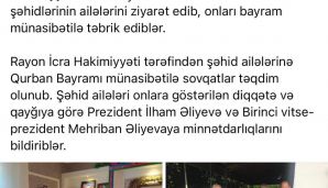 “Ucuz reklamla məşğul olan Alı Alıyevin fəaliyyəti araşdırılmalıdır” — foto 1