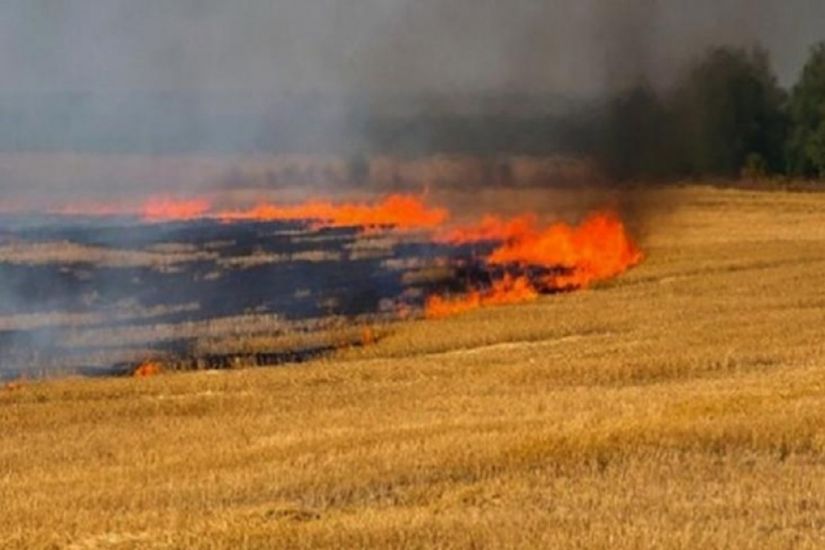 Ağdamda açıq ərazidə yanğın olub