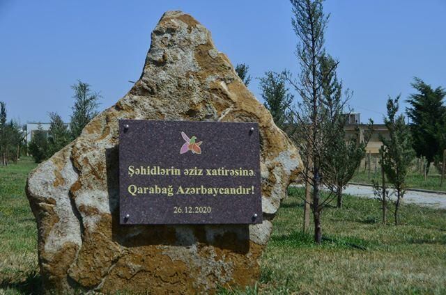 Bakıda park tualet kimi istifadə edilir –     RƏSMİ AÇIQLAMA