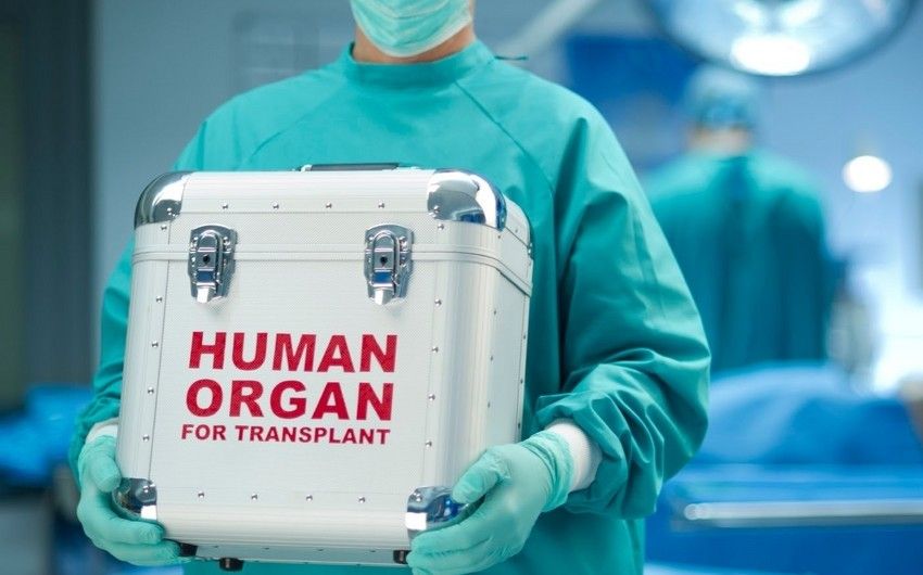 Nazirlik: Hər böyrək yetməzliyi xəstəsi transplantasiya oluna bilmir