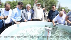 Tural Abbaslı: “Avropaya gedib LGBT fərdləri ilə birgə hansısa masa arxasında nəyəsə imza atmadıq, çaya balıq buraxdıq” -     FOTO — foto 1