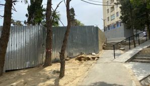Muxtar Babayevin nəzərinə: “Memar Əcəmi”də yaşıllıq ərazi məhv edilir              FOTO — foto 6