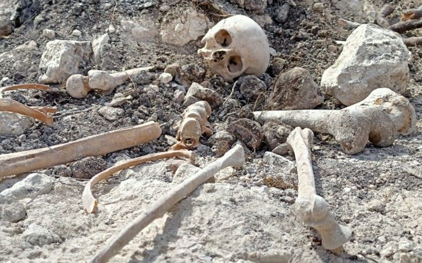Baş Prokurorluq Ağdamda aşkarlanan kütləvi məzarlıqla bağlı məlumat yaydı