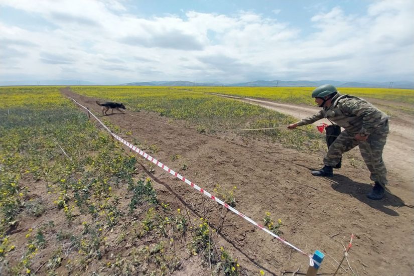 MN: Azad edilən ərazilərdə 140 km-dən artıq yeni təminat yolu çəkilib