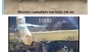 Nərmin cinayəti ilə bağlı 5 şübhəli məqam -       İlkin Süleymanovun qardaşı açıqlayır — foto 1