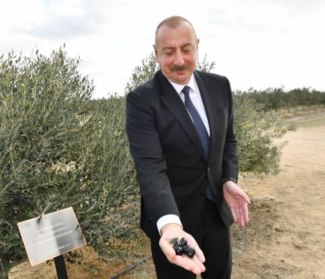 İlham Əliyev: Ölkə daxilində minlərlə iş yeri və yerli istehsalı yaratmaq planlarımız var