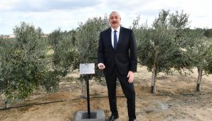 Prezident Zirədə zeytun yağı və zeytun məhsullarının emalı zavodunun açılışında iştirak edib -         YENİLƏNDİ — foto 10