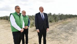 Prezident Zirədə zeytun yağı və zeytun məhsullarının emalı zavodunun açılışında iştirak edib -         YENİLƏNDİ — foto 12
