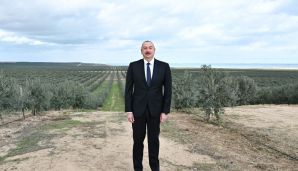 Prezident Zirədə zeytun yağı və zeytun məhsullarının emalı zavodunun açılışında iştirak edib -         YENİLƏNDİ — foto 15