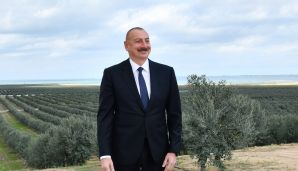 Prezident Zirədə zeytun yağı və zeytun məhsullarının emalı zavodunun açılışında iştirak edib -         YENİLƏNDİ — foto 16