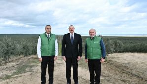 Prezident Zirədə zeytun yağı və zeytun məhsullarının emalı zavodunun açılışında iştirak edib -         YENİLƏNDİ — foto 17