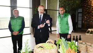 Prezident Zirədə zeytun yağı və zeytun məhsullarının emalı zavodunun açılışında iştirak edib -         YENİLƏNDİ — foto 20