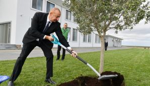 Prezident Zirədə zeytun yağı və zeytun məhsullarının emalı zavodunun açılışında iştirak edib -         YENİLƏNDİ — foto 3