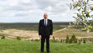 Prezident Zirədə zeytun yağı və zeytun məhsullarının emalı zavodunun açılışında iştirak edib -         YENİLƏNDİ — foto 5
