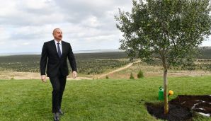 Prezident Zirədə zeytun yağı və zeytun məhsullarının emalı zavodunun açılışında iştirak edib -         YENİLƏNDİ — foto 6