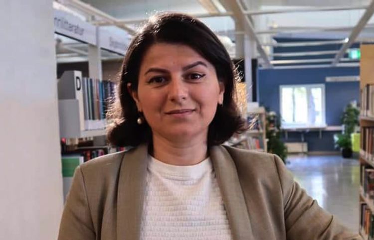 “Misir Qasımlı adlı axırıncı model qəhrəmanları qanqster, quldur çıxdı”
