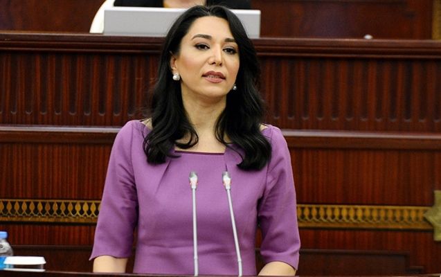 Ombudsmanın Milli Məclisin komitə iclasında iştirak etməməsi narazılıq yaradıb