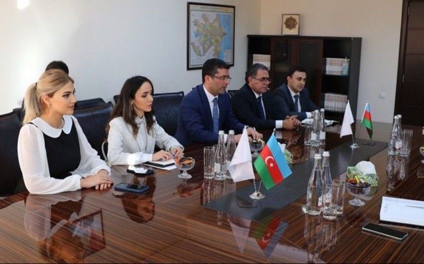 MEDİA və Sahibkarlığın İnkişafı Fondu arasında görüş keçirilib