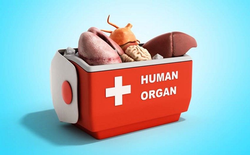 Bu il ölümündən sonra orqan bağışlamaq istəyənlərin sayı     AÇIQLANDI