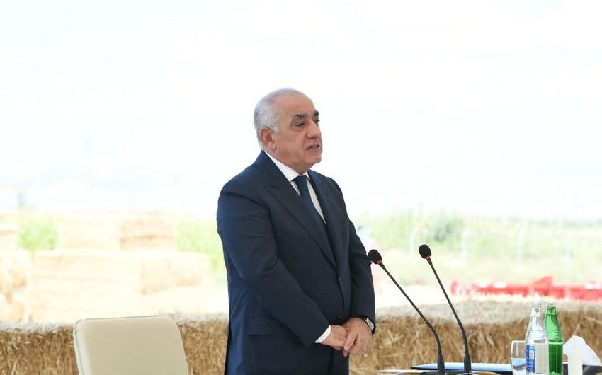 Əli Əsədov hökumətin prioritetlərini açıqladı