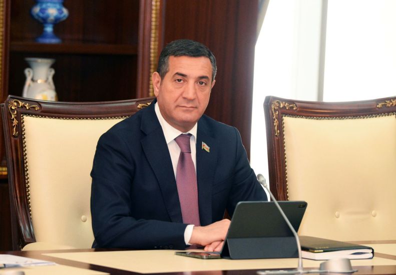 Deputat: Avropa Parlamentinin missiyası burada nə işlə məşğul olacaq?