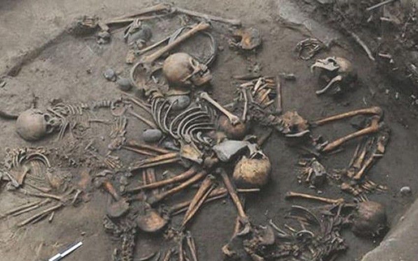Ağdamda insan skeletinə bənzər sümüklər aşkarlandı -   YENİLƏNDİ