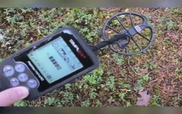 Azərbaycanda xüsusi cihazla qızıl axtaran şəxs həbs edildi