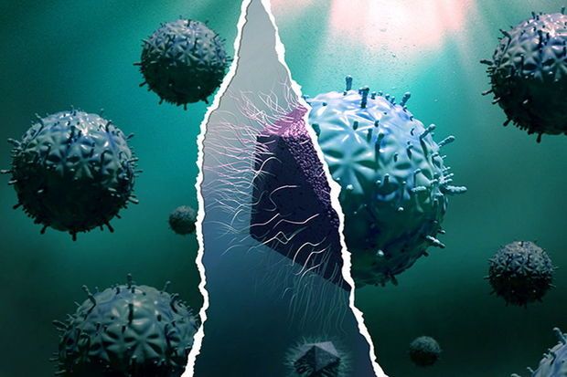 Yeni virus - “mirus” tapıldı